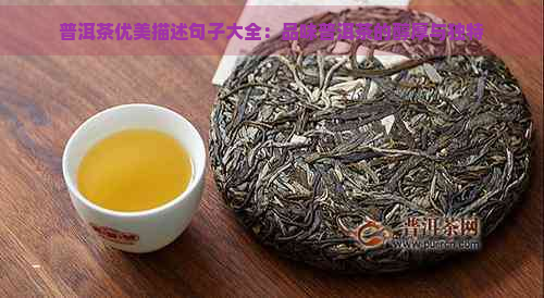 普洱茶优美描述句子大全：品味普洱茶的醇厚与独特