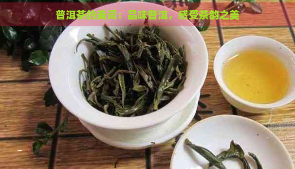 普洱茶的美词：品味普洱，感受茶韵之美