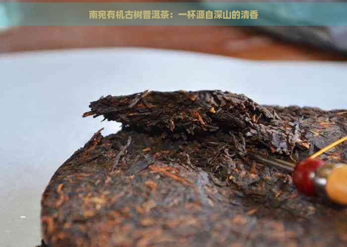 南宛有机古树普洱茶：一杯源自深山的清香