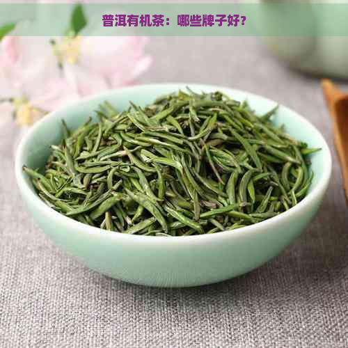 普洱有机茶：哪些牌子好？