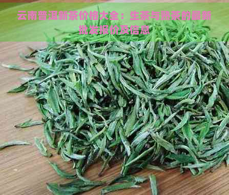 云南普洱新茶价格大全：生茶与熟茶的最新批发报价及信息