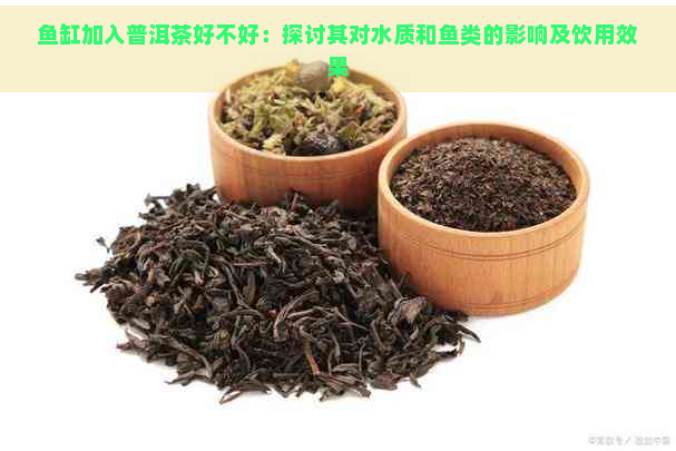 鱼缸加入普洱茶好不好：探讨其对水质和鱼类的影响及饮用效果