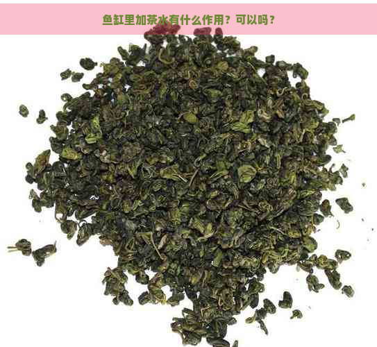 鱼缸里加茶水有什么作用？可以吗？