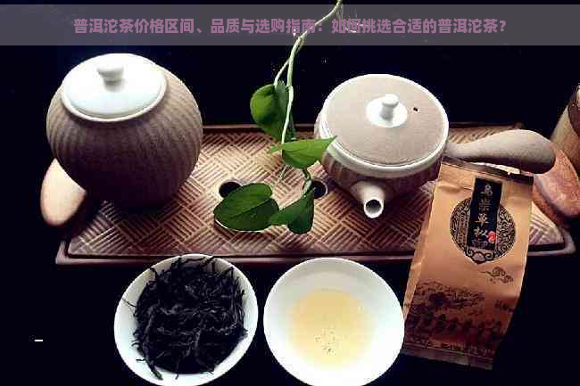 普洱沱茶价格区间、品质与选购指南：如何挑选合适的普洱沱茶？