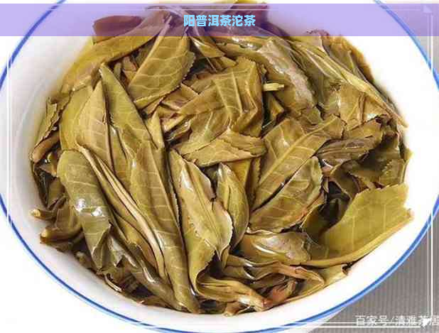 阳普洱茶沱茶