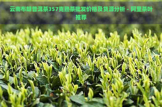 云南布朗普洱茶357克熟茶批发价格及货源分析 - 阿里茶叶推荐