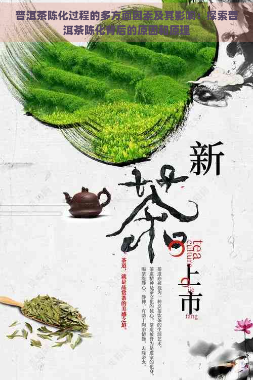 普洱茶陈化过程的多方面因素及其影响：探索普洱茶陈化背后的原因和原理