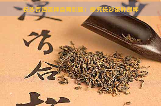 长沙普洱茶种类有哪些：探究长沙茶叶品种