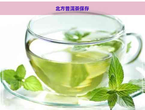 北方普洱茶保存