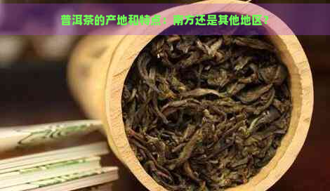 普洱茶的产地和特点：南方还是其他地区？