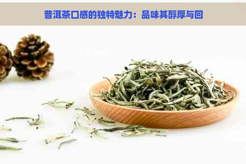 普洱茶口感的独特魅力：品味其醇厚与回