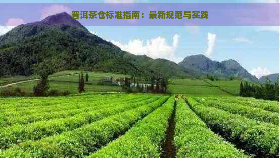 普洱茶仓标准指南：最新规范与实践