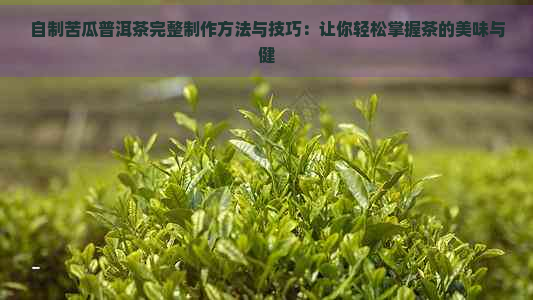 自制苦瓜普洱茶完整制作方法与技巧：让你轻松掌握茶的美味与健