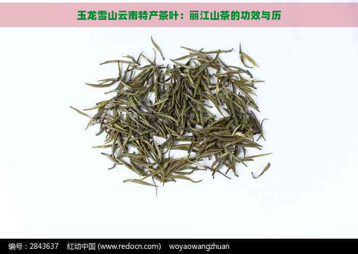 玉龙雪山云南特产茶叶：丽江山茶的功效与历