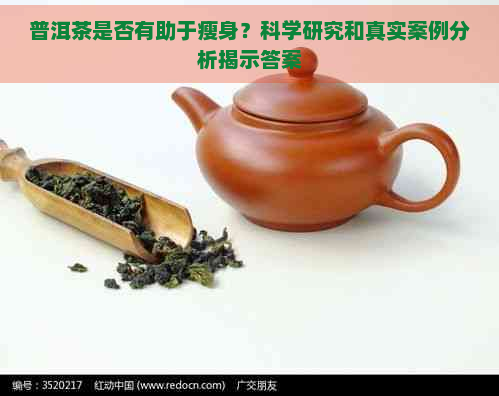 普洱茶是否有助于瘦身？科学研究和真实案例分析揭示答案