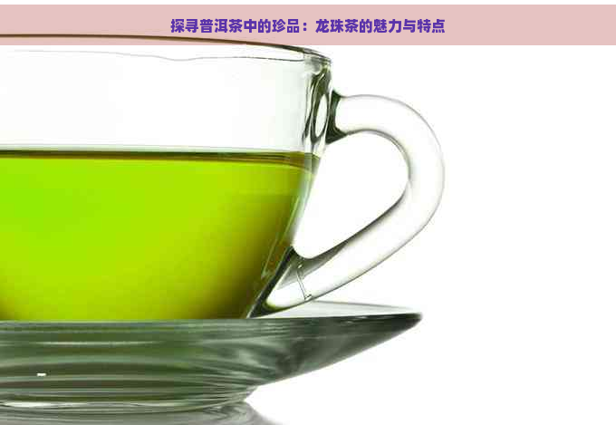 探寻普洱茶中的珍品：龙珠茶的魅力与特点