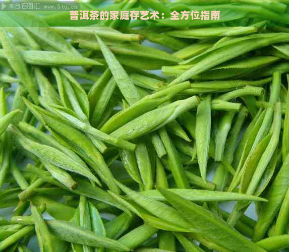 普洱茶的家庭存艺术：全方位指南