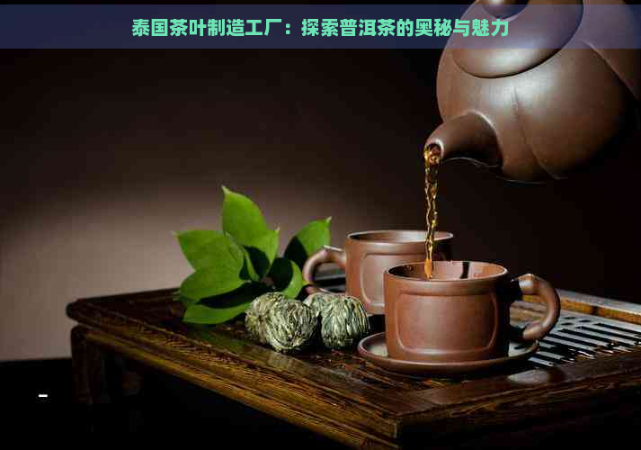 泰国茶叶制造工厂：探索普洱茶的奥秘与魅力