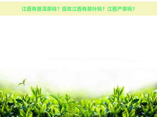 江西有普洱茶吗？现在江西有茶叶吗？江西产茶吗？