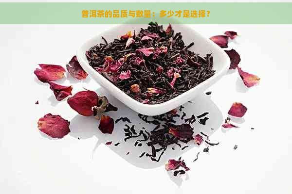 普洱茶的品质与数量：多少才是选择？