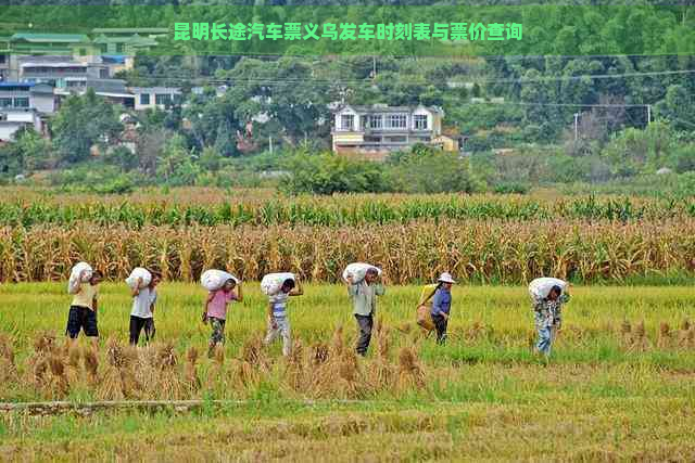 昆明长途汽车票义乌发车时刻表与票价查询