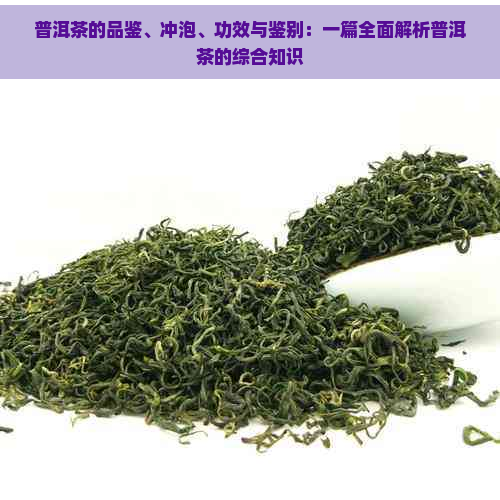 普洱茶的品鉴、冲泡、功效与鉴别：一篇全面解析普洱茶的综合知识