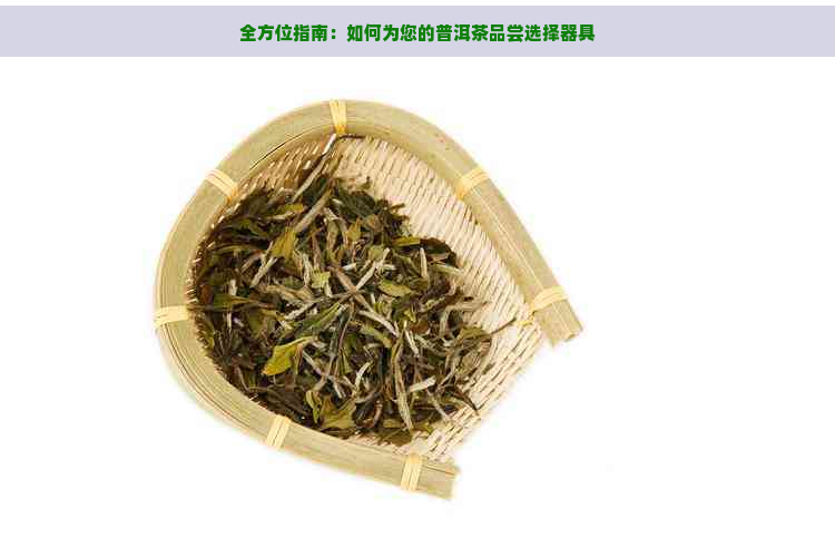 全方位指南：如何为您的普洱茶品尝选择器具