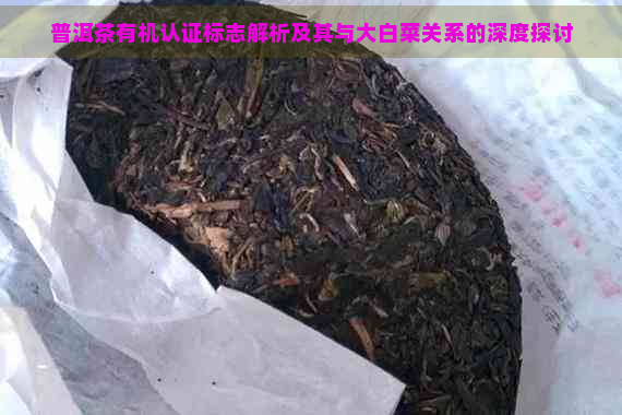 普洱茶有机认证标志解析及其与大白菜关系的深度探讨