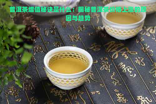 普洱茶增值秘诀是什么：揭秘普洱茶价格上涨的原因与趋势