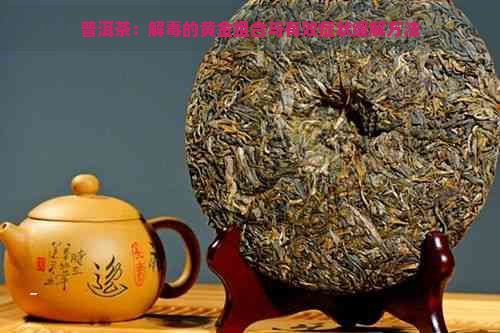 普洱茶：解的黄金组合与有效症状缓解方法