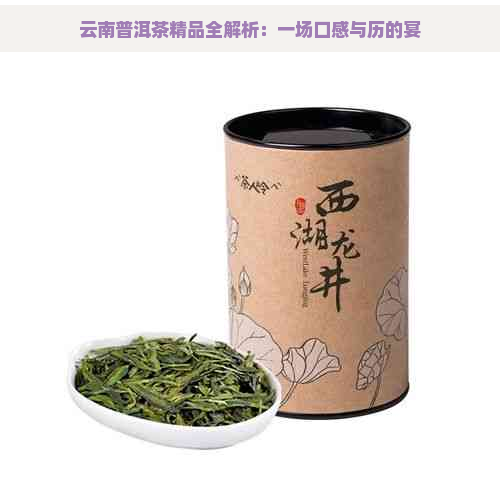 云南普洱茶精品全解析：一场口感与历的宴