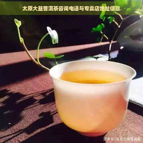 太原大益普洱茶咨询电话与专卖店地址信息