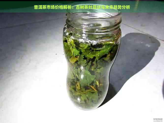 普洱茶市场价格解析：古树茶叶现状与未来趋势分析