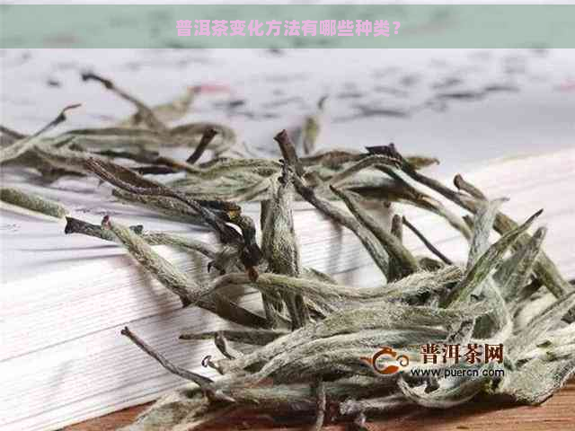 普洱茶变化方法有哪些种类？