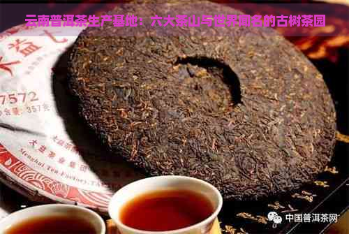 云南普洱茶生产基地：六大茶山与世界闻名的古树茶园