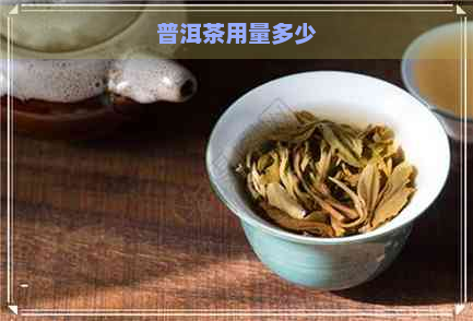 普洱茶用量多少