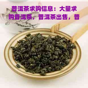 普洱茶求购信息：大量求购普洱茶，普洱茶出售，普洱茶收购商，普洱茶收购价