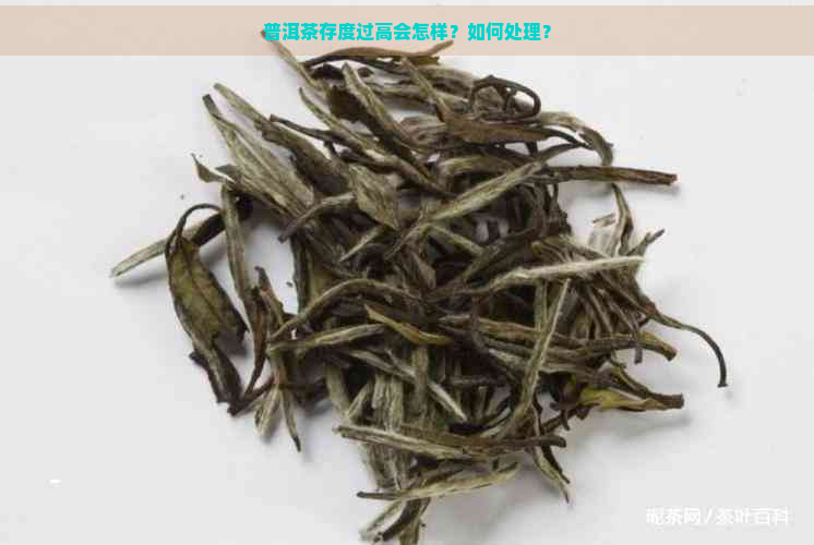 普洱茶存度过高会怎样？如何处理？