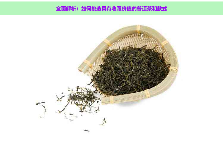 全面解析：如何挑选具有收藏价值的普洱茶和款式