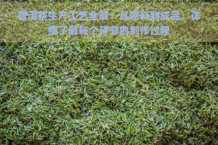 普洱茶生产工艺全解：从原料到成品，详细了解每个环节的制作过程