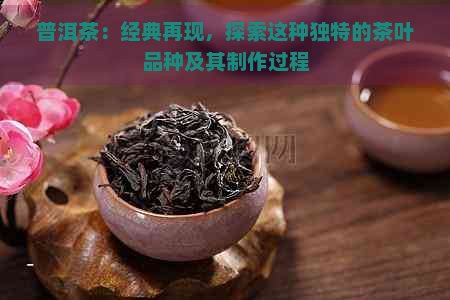 普洱茶：经典再现，探索这种独特的茶叶品种及其制作过程