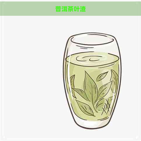 普洱茶叶渣