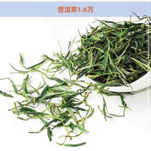 普洱茶1.6万