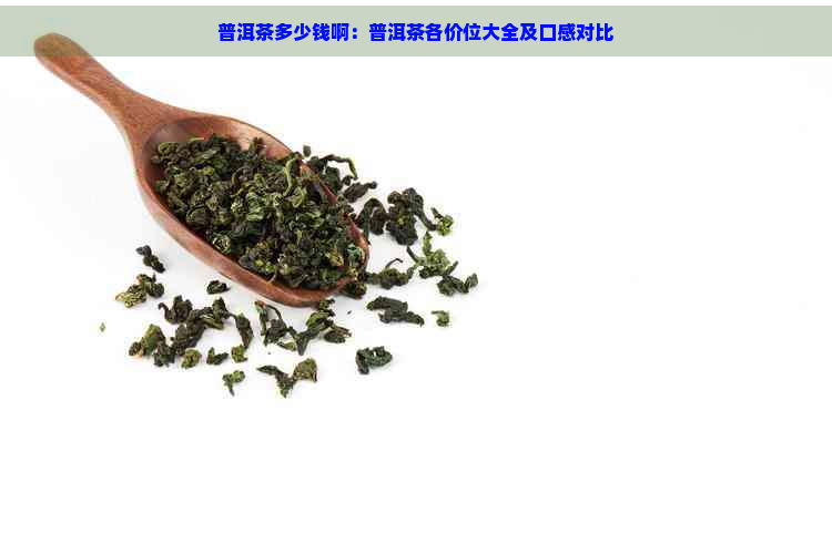 普洱茶多少钱啊：普洱茶各价位大全及口感对比