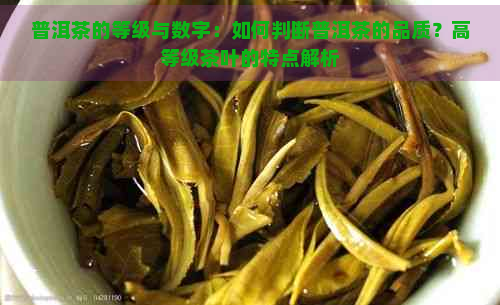 普洱茶的等级与数字：如何判断普洱茶的品质？高等级茶叶的特点解析