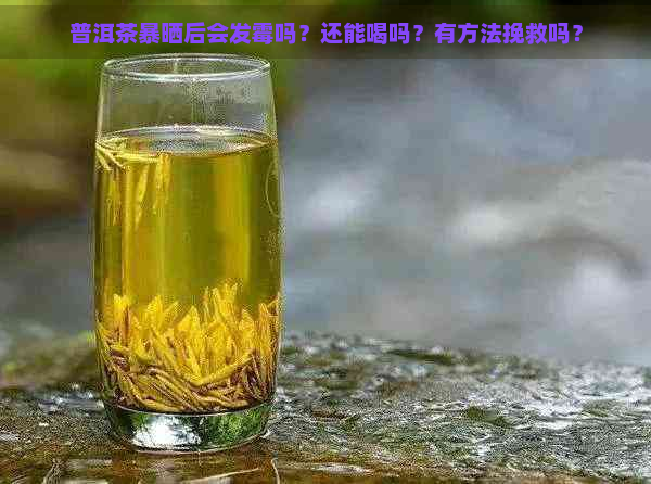 普洱茶暴晒后会发霉吗？还能喝吗？有方法挽救吗？