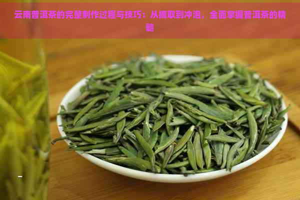 云南普洱茶的完整制作过程与技巧：从摘取到冲泡，全面掌握普洱茶的精髓