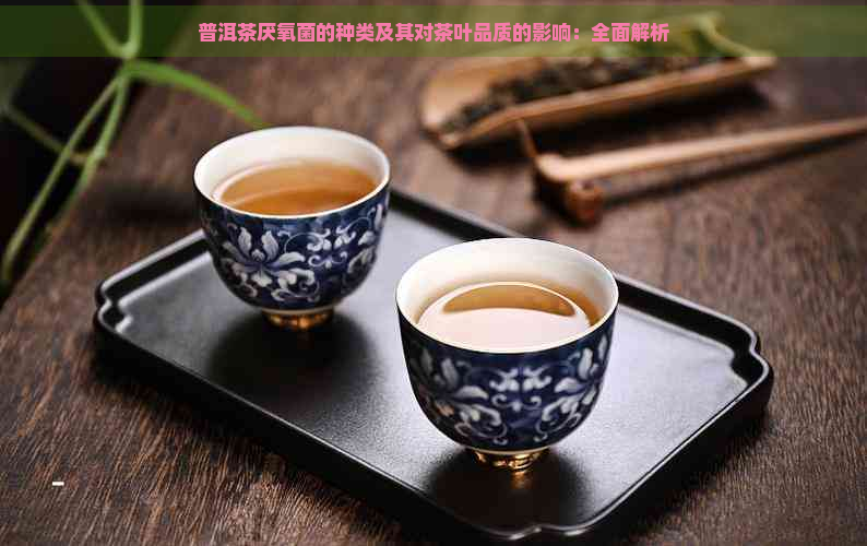 普洱茶厌氧菌的种类及其对茶叶品质的影响：全面解析