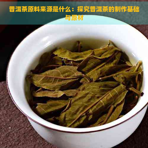 普洱茶原料来源是什么：探究普洱茶的制作基础与原材