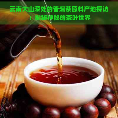 云南大山深处的普洱茶原料产地探访：揭秘神秘的茶叶世界